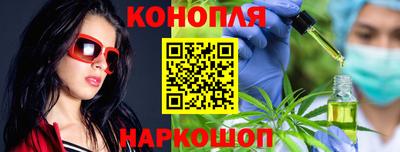 прущие грибы Будённовск