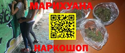 прущие грибы Будённовск