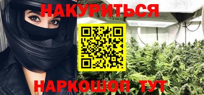 прущие грибы Будённовск