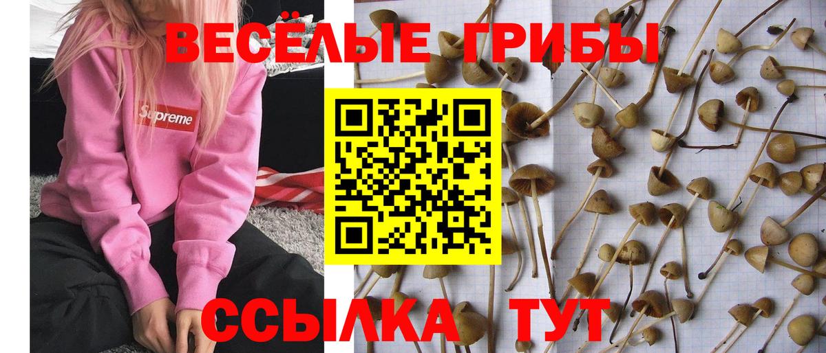 Краснотурьинск  Псилоцибиновые грибы GOLDEN TEACHER  Псилоцибиновые грибы ЛСД  Вход с VPN 